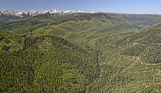 1960 Fire area - Anthony Creek 2014